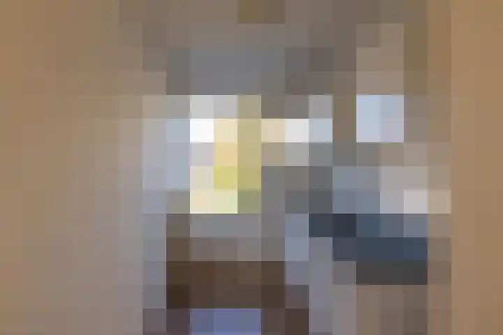 Van Maerlantlaan 11 Haren Gn thumbnail 8