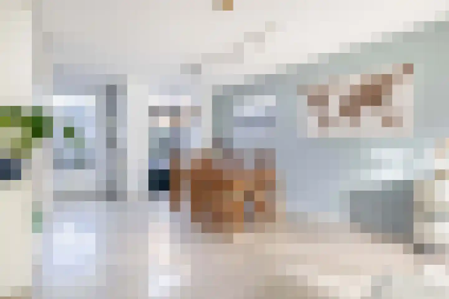 Van Maerlantlaan 13 Den Haag thumbnail 16