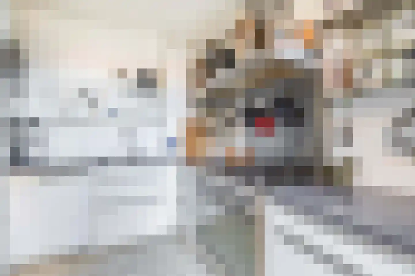 Van Maerlantlaan 13 Den Haag thumbnail 19