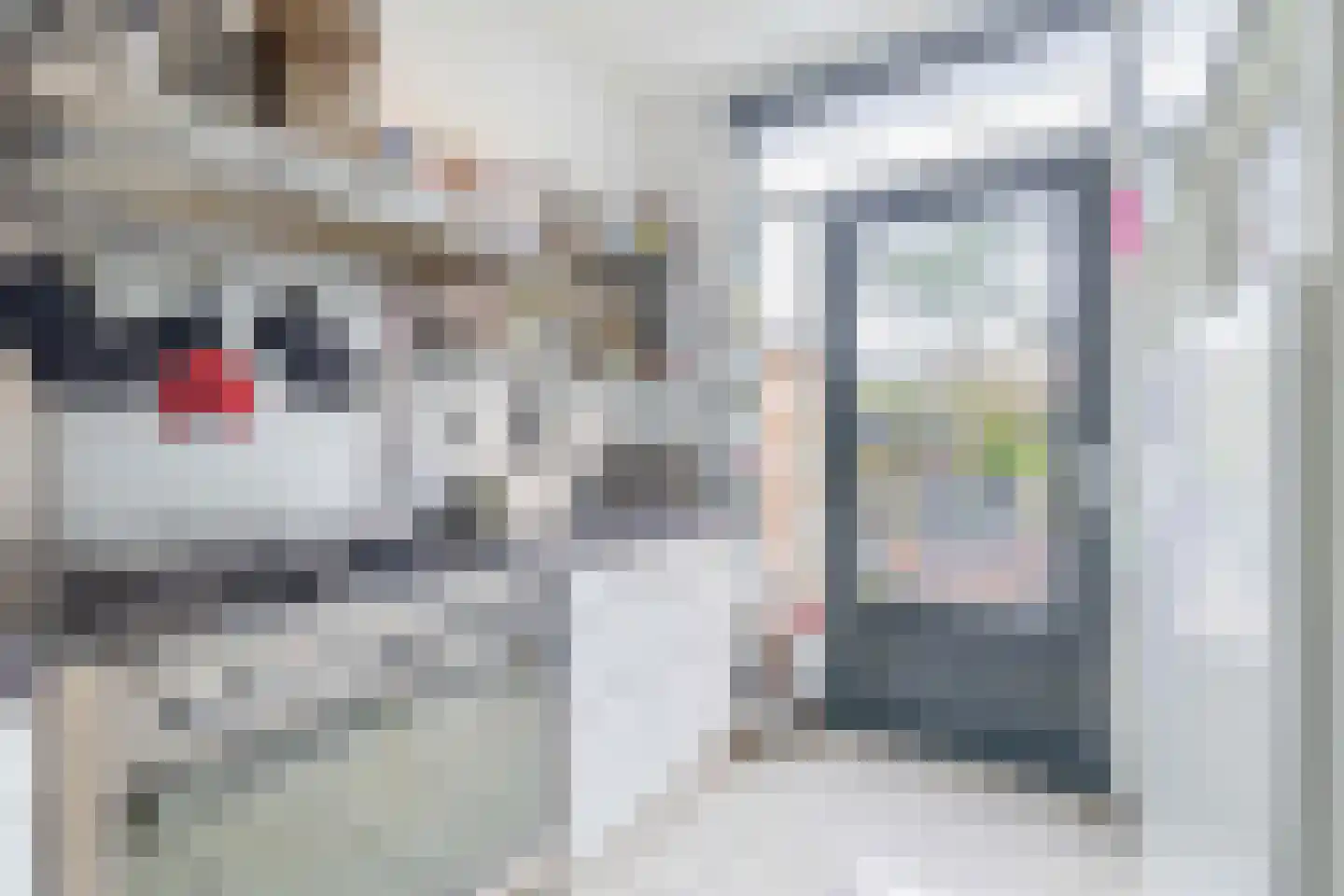 Van Maerlantlaan 13 Den Haag thumbnail 21