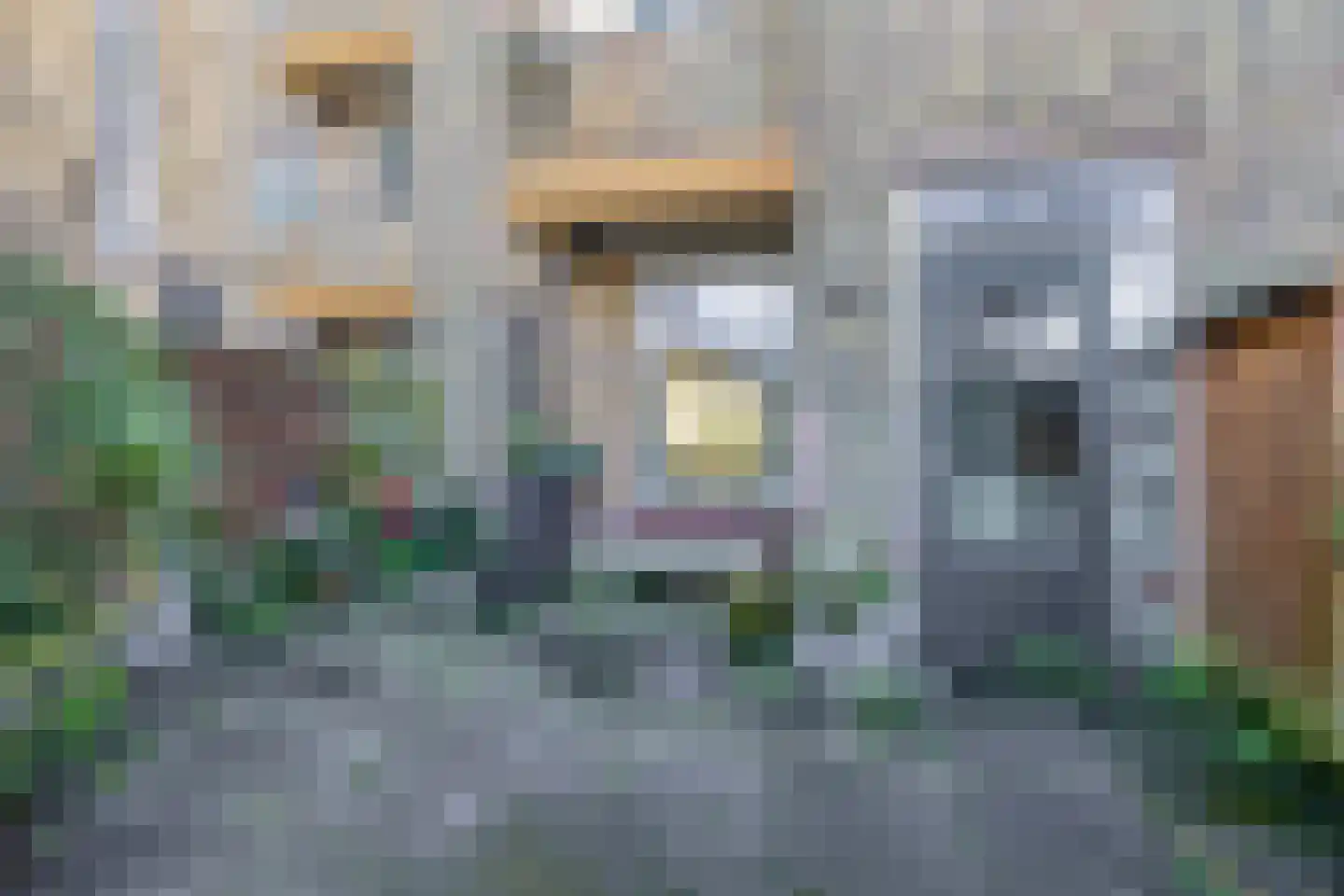 Van Maerlantlaan 13 Den Haag thumbnail 24