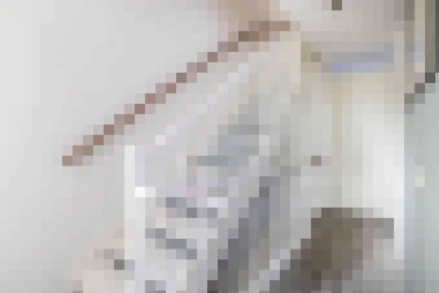 Van Maerlantlaan 13 Den Haag thumbnail 25