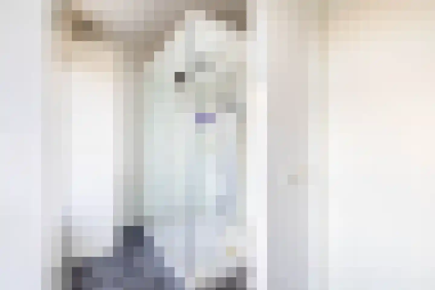Van Maerlantlaan 13 Den Haag thumbnail 28