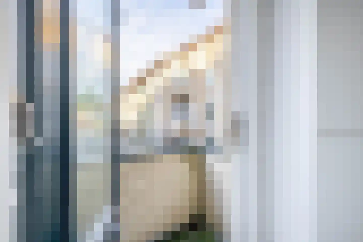 Van Maerlantlaan 13 Den Haag thumbnail 32