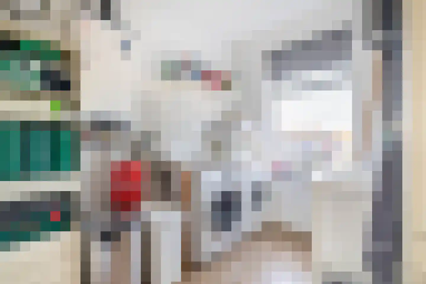 Van Maerlantlaan 13 Den Haag thumbnail 38