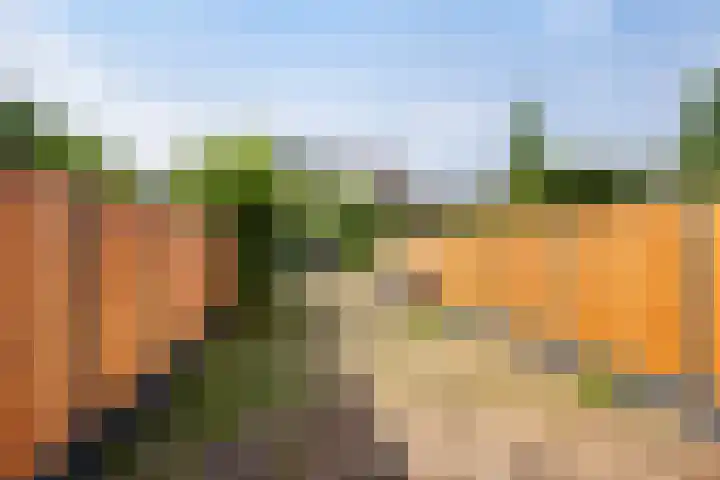 van Maerlantlaan 13 Vlaardingen thumbnail 15