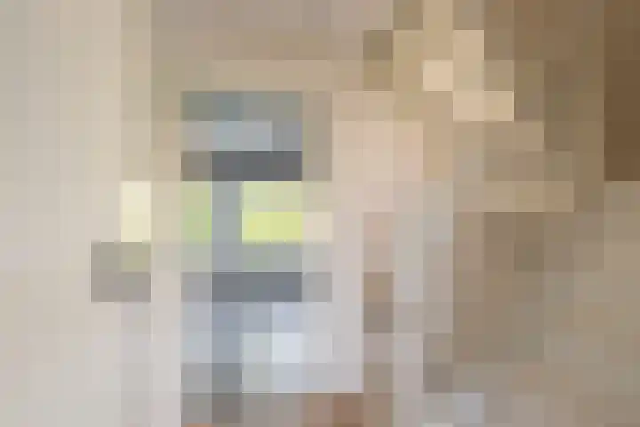 van Maerlantlaan 13 Vlaardingen thumbnail 18