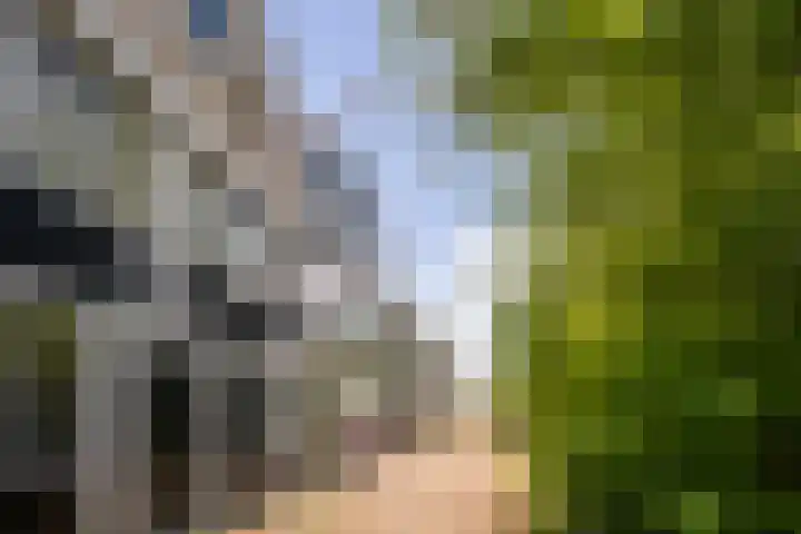 van Maerlantlaan 13 Vlaardingen thumbnail 36