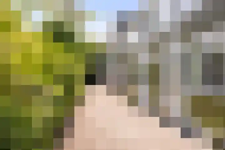 van Maerlantlaan 13 Vlaardingen thumbnail 37