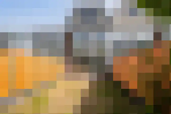 van Maerlantlaan 13 Vlaardingen thumbnail 6