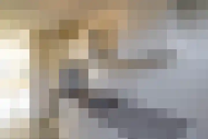 Van Maerlantlaan 15 Haren Gn thumbnail 10