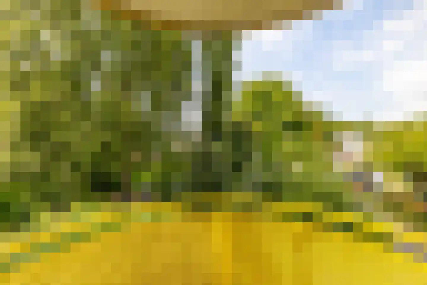 Van Maerlantlaan 22 Haren Gn thumbnail 22