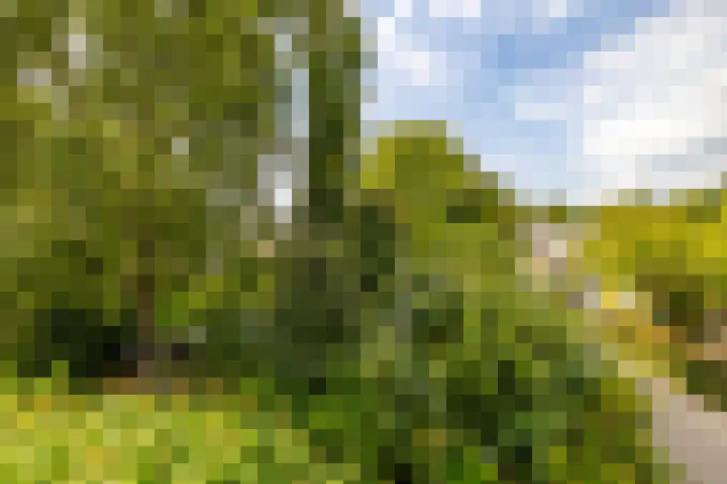 Van Maerlantlaan 22 Haren Gn thumbnail 23