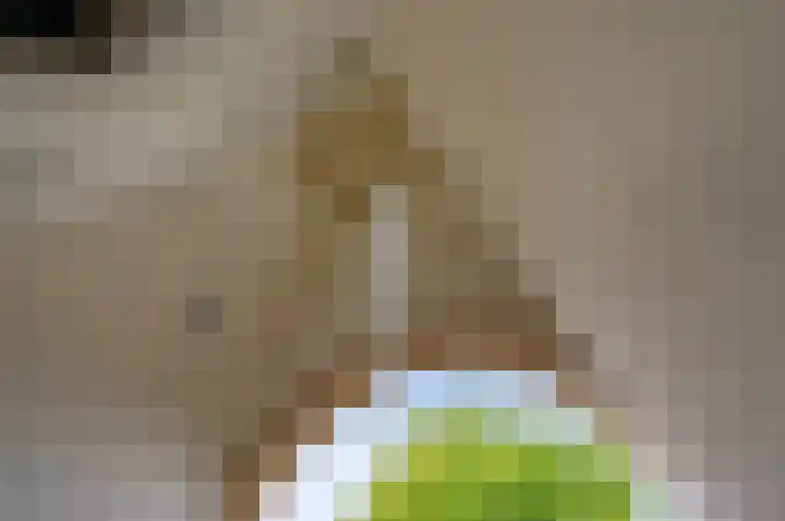 Van Maerlantlaan 23 Den Haag thumbnail 10