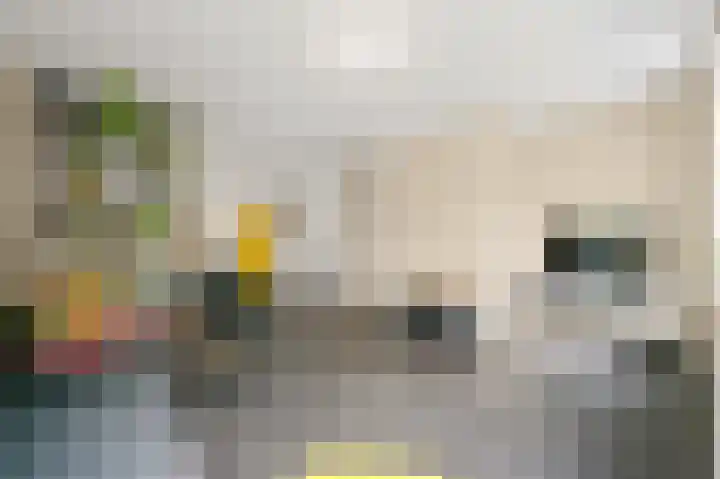 Van Maerlantlaan 23 Den Haag thumbnail 12
