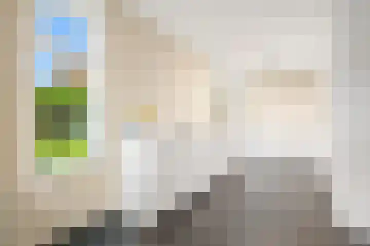 Van Maerlantlaan 23 Den Haag thumbnail 17