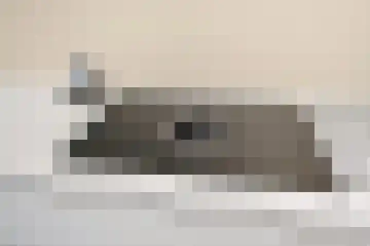 Van Maerlantlaan 23 Den Haag thumbnail 21