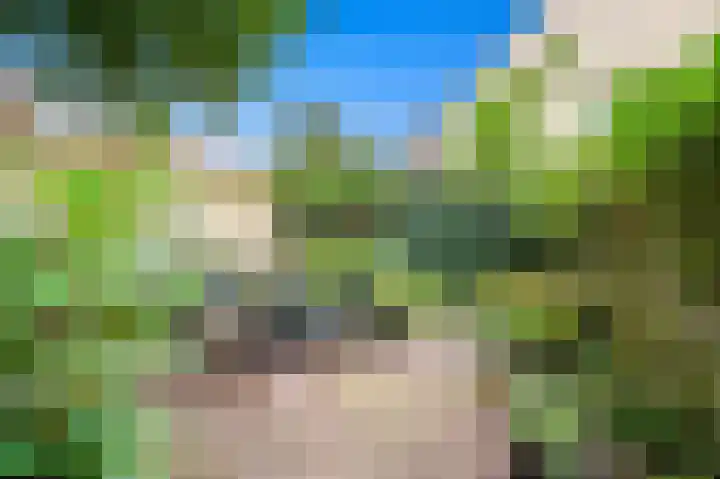 Van Maerlantlaan 23 Den Haag thumbnail 22