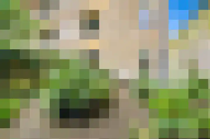 Van Maerlantlaan 23 Den Haag thumbnail 24