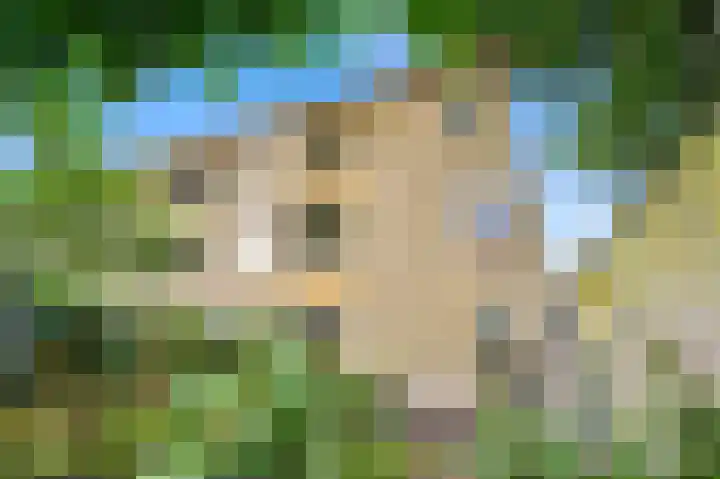 Van Maerlantlaan 23 Den Haag thumbnail 26