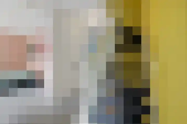 Van Maerlantlaan 23 Den Haag thumbnail 33