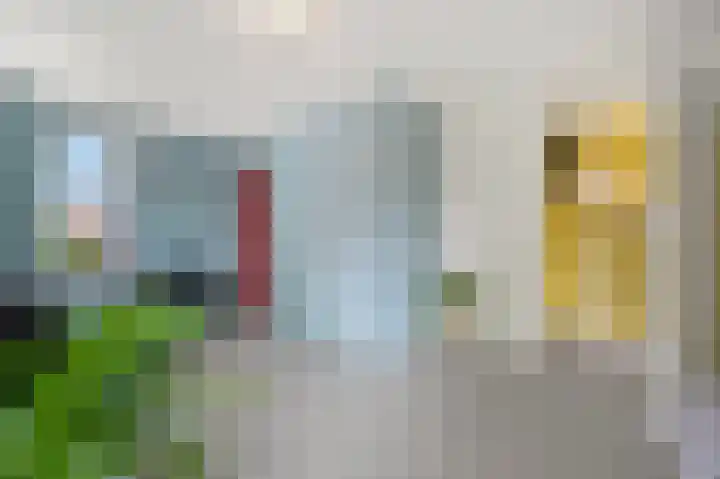 Van Maerlantlaan 23 Den Haag thumbnail 36