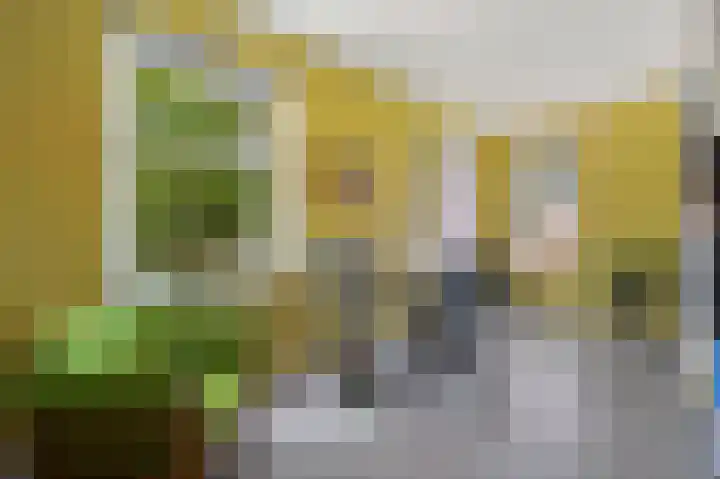 Van Maerlantlaan 23 Den Haag thumbnail 45