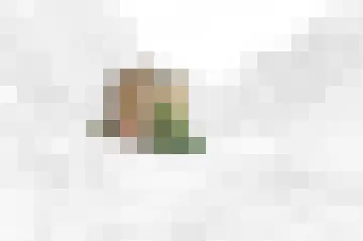 Van Maerlantlaan 23 Den Haag thumbnail 5