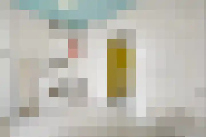 Van Maerlantlaan 23 Den Haag thumbnail 51