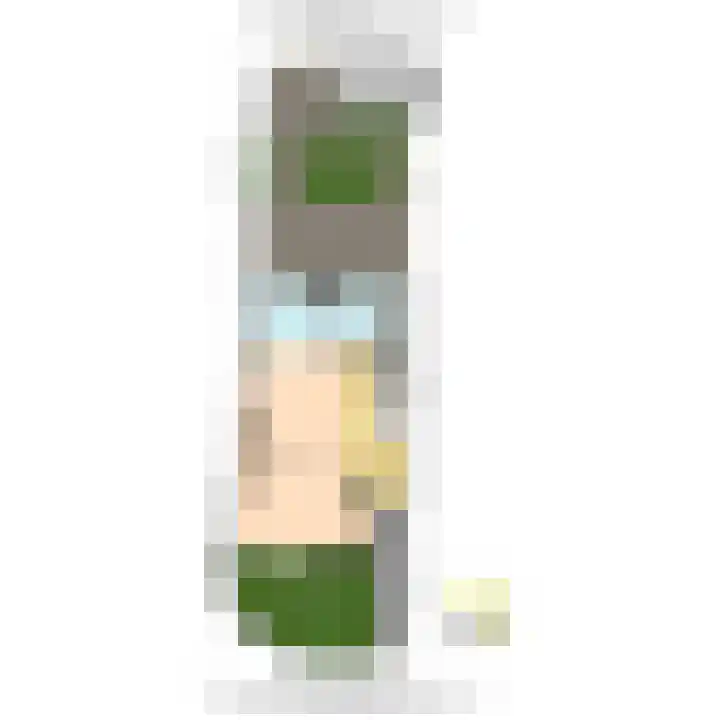 Van Maerlantlaan 23 Den Haag thumbnail 64