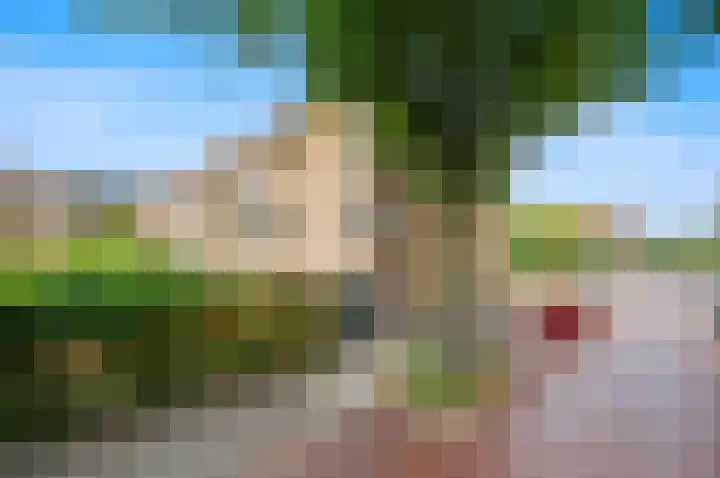 Van Maerlantlaan 23 Den Haag thumbnail 7