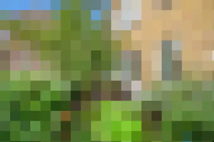 Van Maerlantlaan 23 Den Haag thumbnail 8