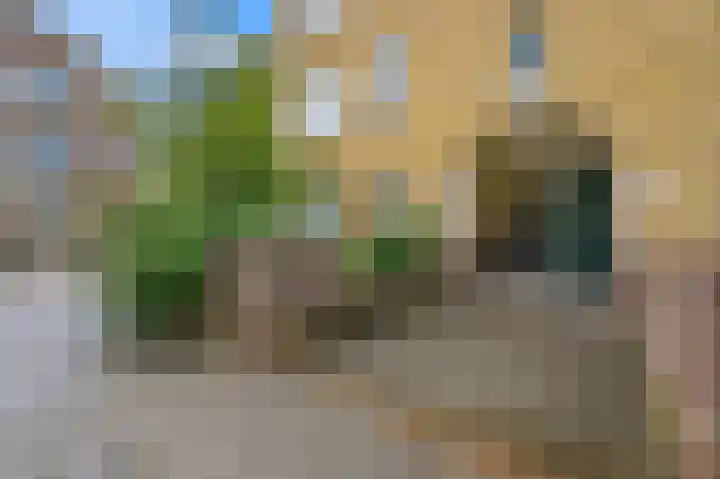 Van Maerlantlaan 23 Den Haag thumbnail 9
