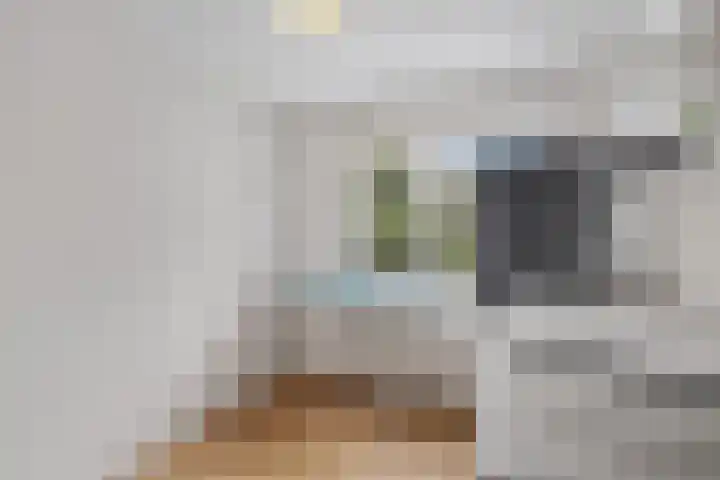 Van Maerlantlaan 23 Roosendaal thumbnail 27