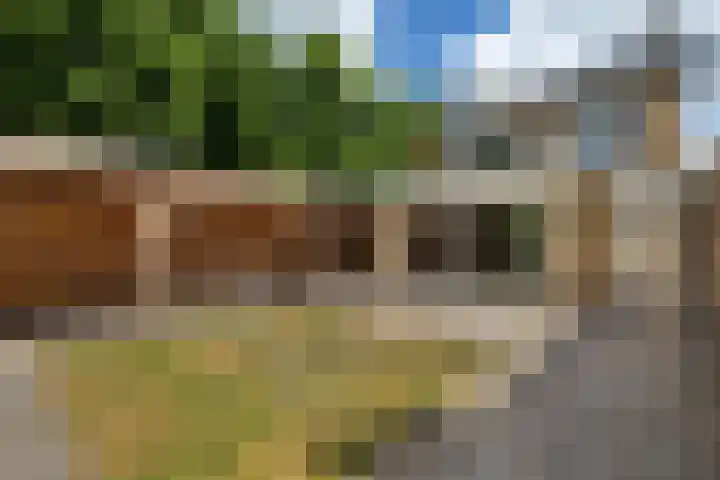 Van Maerlantlaan 23 Roosendaal thumbnail 32