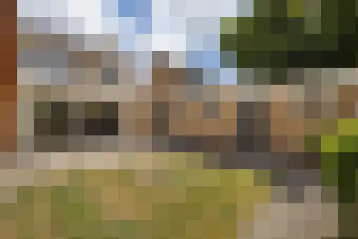 Van Maerlantlaan 23 Roosendaal thumbnail 33