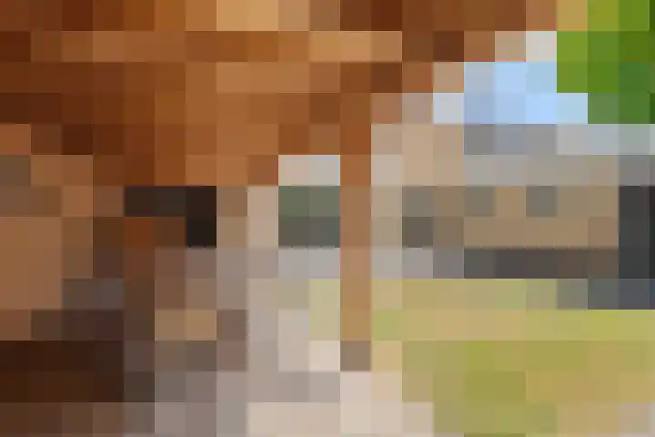 Van Maerlantlaan 23 Roosendaal thumbnail 34