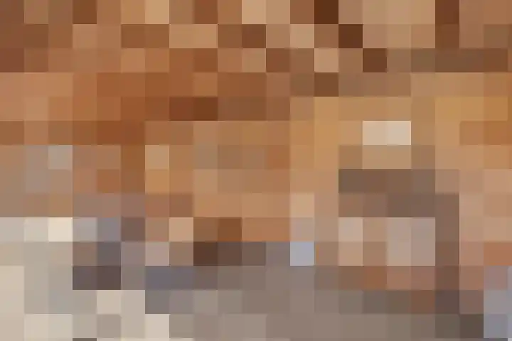 Van Maerlantlaan 23 Roosendaal thumbnail 37