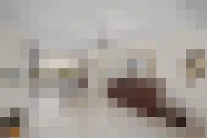 Van Maerlantlaan 23 Roosendaal thumbnail 9