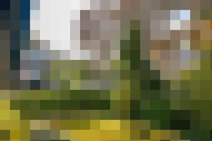 Van Maerlantlaan 26 Haren Gn thumbnail 4