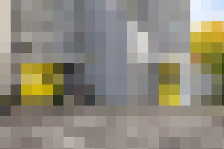 Van Maerlantlaan 26 Haren Gn thumbnail 8