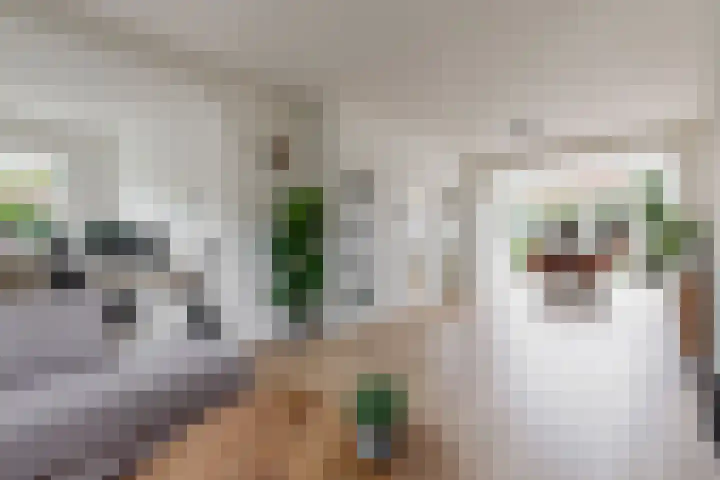 Van Maerlantlaan 3 Driehuis NH thumbnail 10