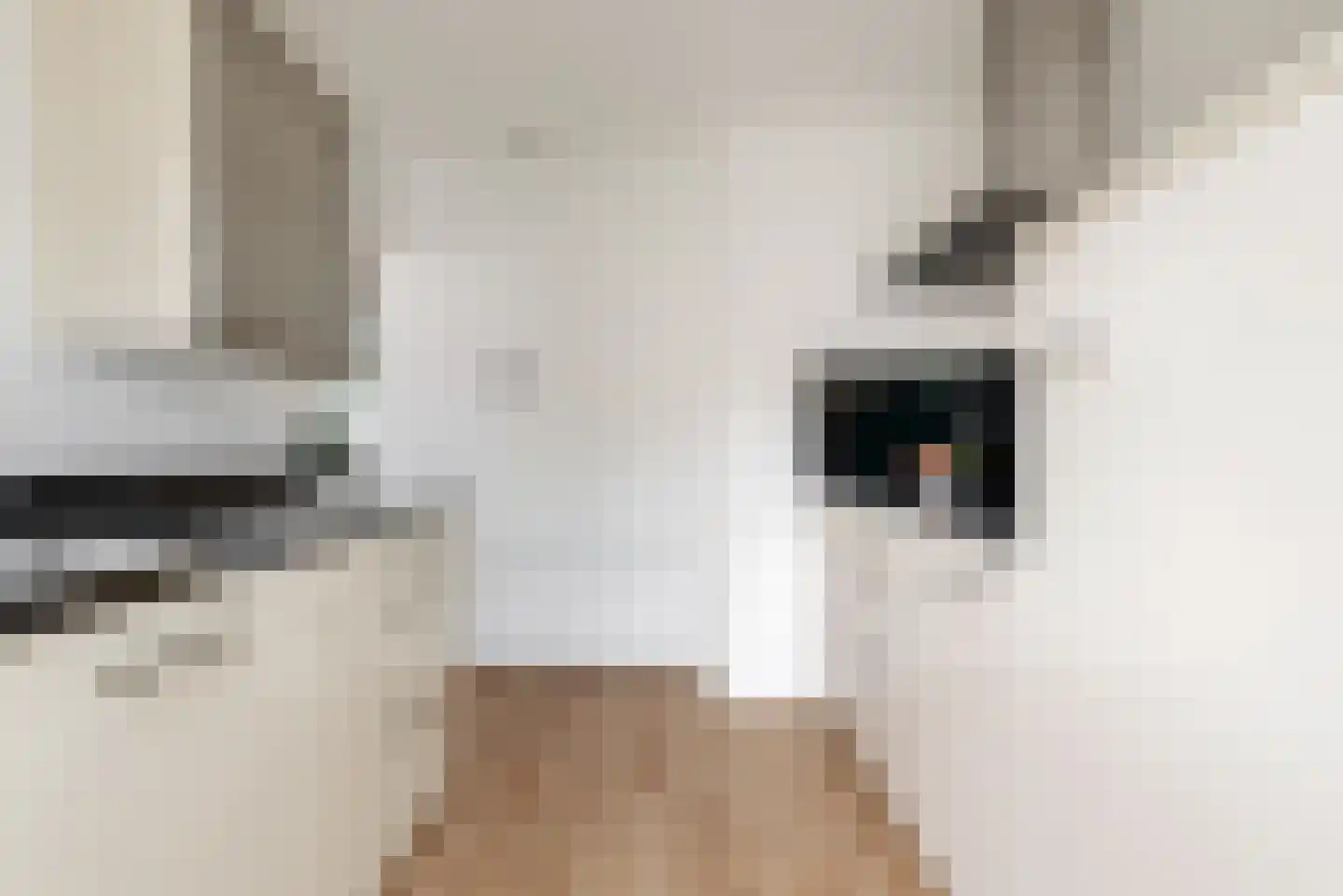 Van Maerlantlaan 3 Driehuis NH thumbnail 18