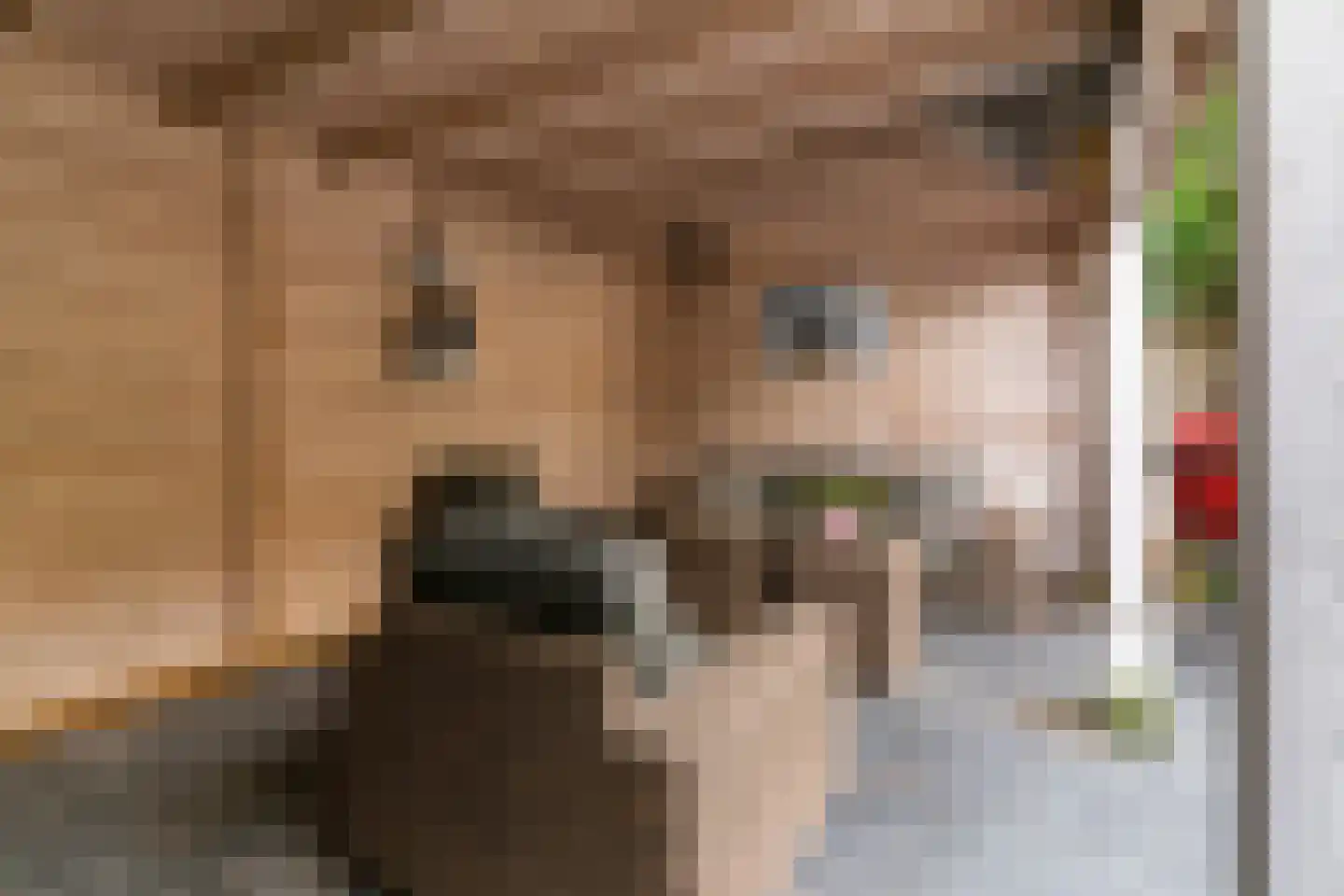 Van Maerlantlaan 3 Driehuis NH thumbnail 23