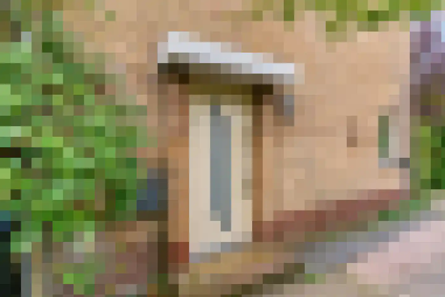 Van Maerlantlaan 3 Driehuis NH thumbnail 8