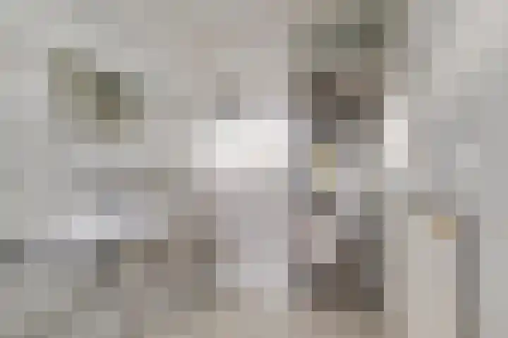 Van Maerlantlaan 3 Haren Gn thumbnail 21
