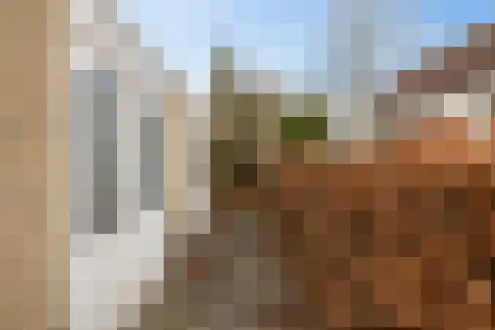 Van Maerlantlaan 3 Haren Gn thumbnail 25