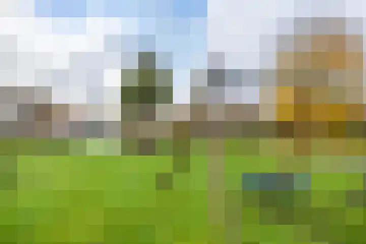 Van Maerlantlaan 3 Haren Gn thumbnail 28
