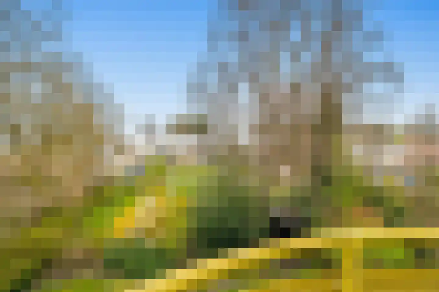 Van Maerlantlaan 36 Haren Gn thumbnail 4