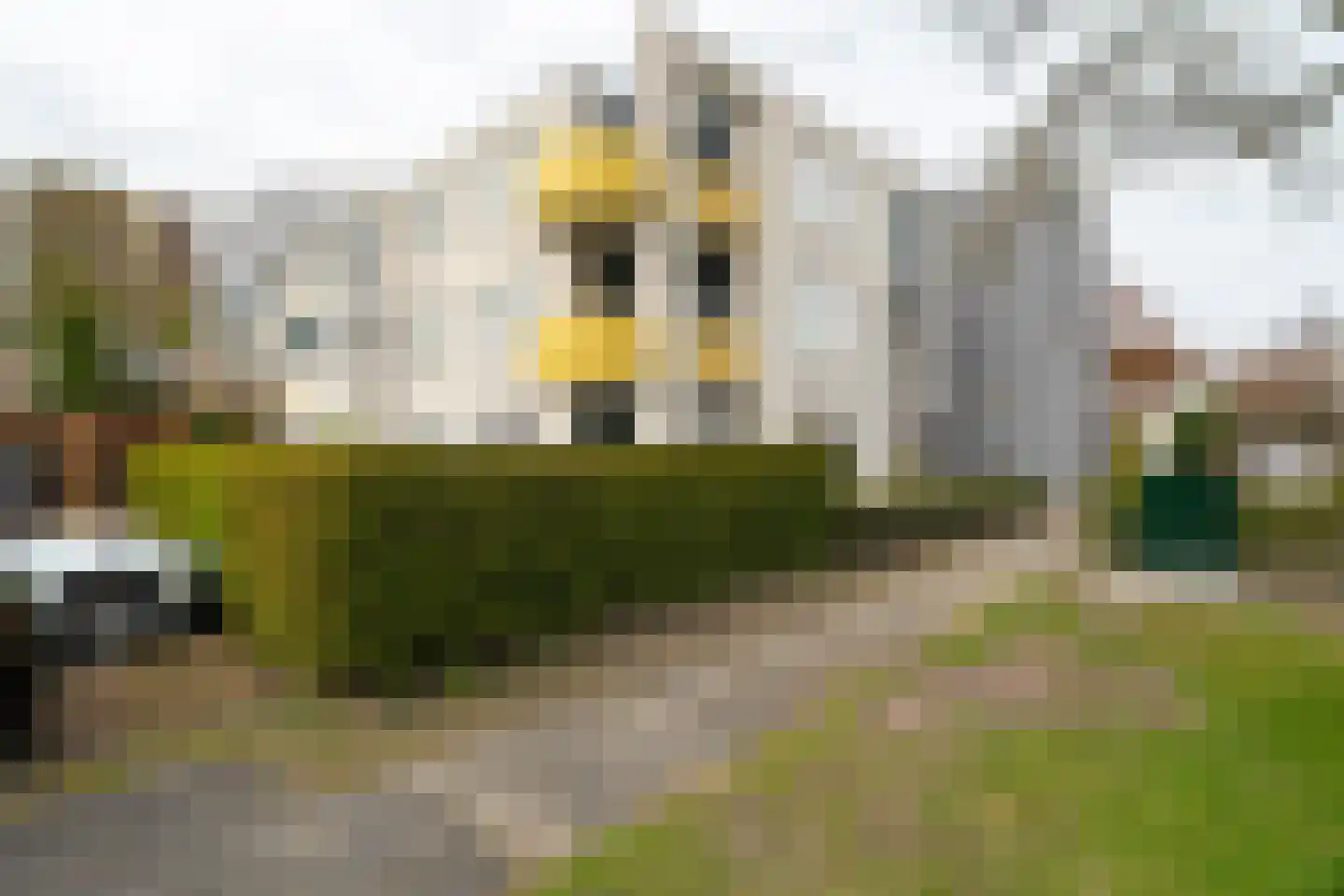 Van Maerlantlaan 36 Haren Gn thumbnail 7